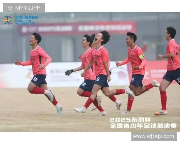 成都足球队荣登全国足球力量排行榜第三名引发热议