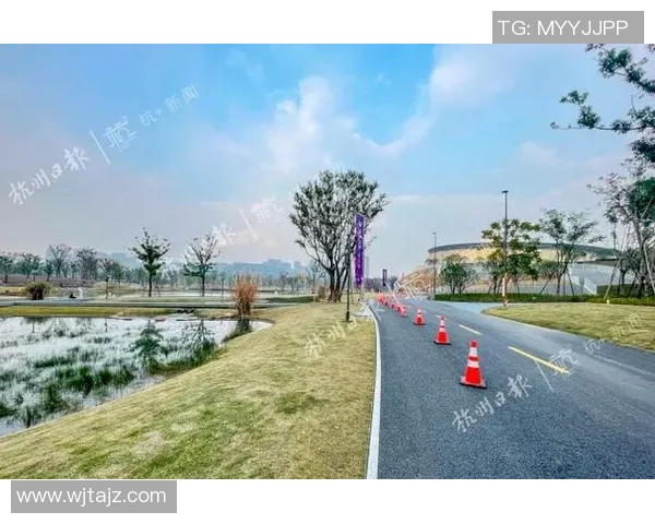 杭州乒乓球队运营揭秘深度解析背后的管理与发展策略